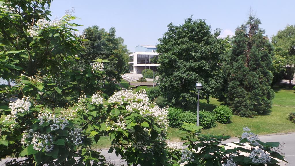 Hostel Levicki 斯拉沃尼亚布罗德 客房 照片